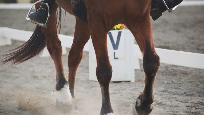 Buty jeździeckie wykonane z dobrego materiału